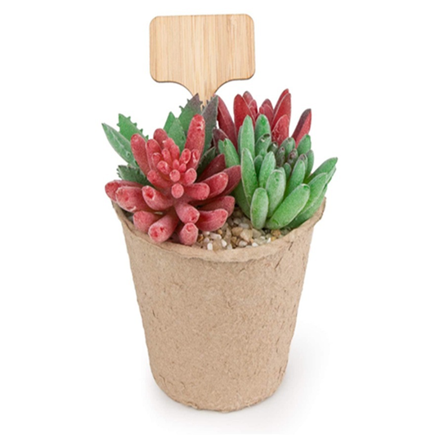 100 шт. деревянных бирок для р – обзор и цена Floral Picks Wood